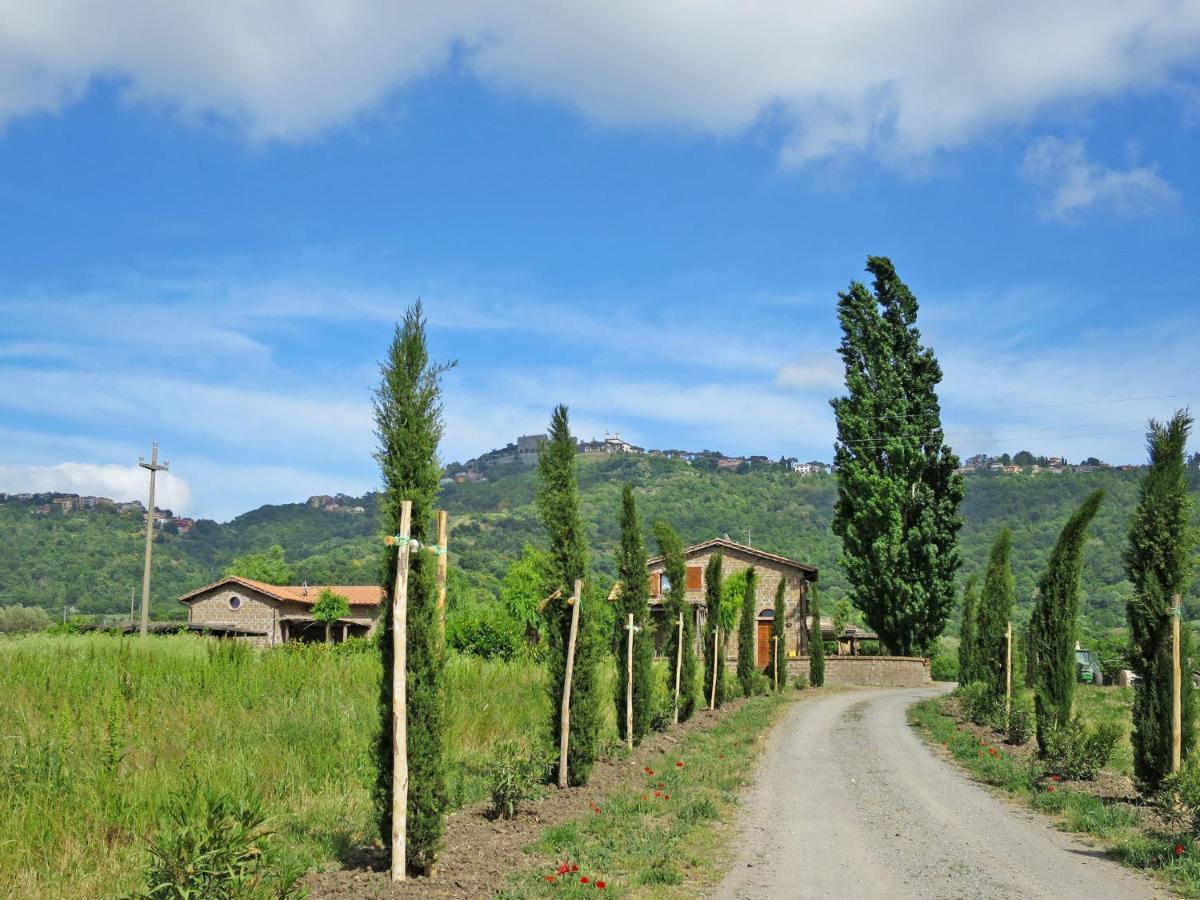 Appartamento Locazione Turistica Casa Riccardo n- 3 Montefiascone Esterno foto